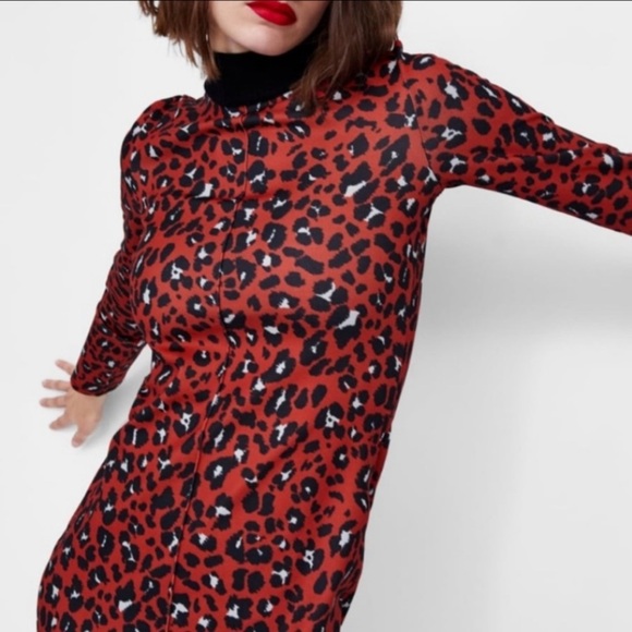 New Zara Dress - Picture 3 of 3